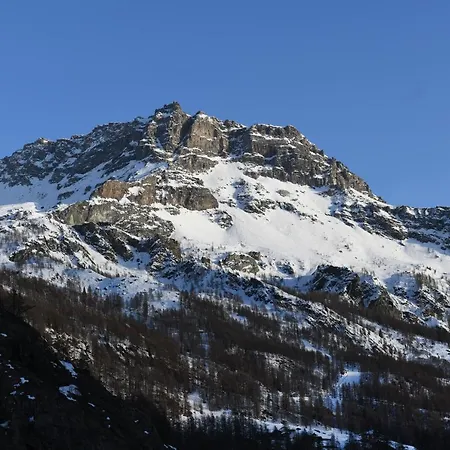 Hotel Rascard 3*